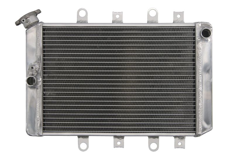 Radiator Yamaha Grizzly 550 700 RP2419