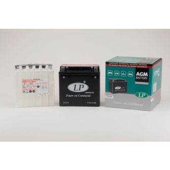 Battery Maintenance Free YTX14-BS