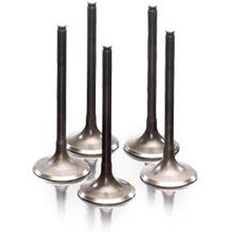 Exhaust valve. Steel Honda CRF450R 2009-15 28.1409-1