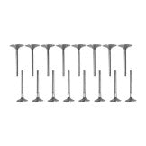 „Riva Yamaha Performance Valve“ rinkinys (1,8L) +1 mm