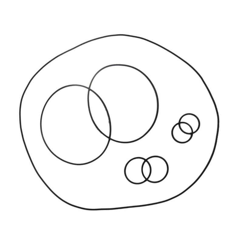 „Sea-Doo 951 Ada Domed Cilinder Head O-Ring“ rinkinys