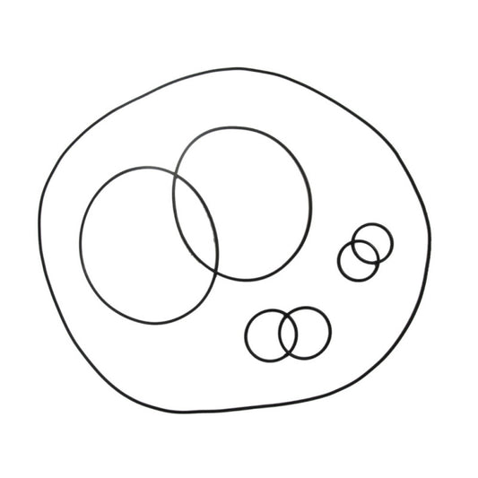 „Sea-Doo 951 Ada Domed Cilinder Head O-Ring“ rinkinys